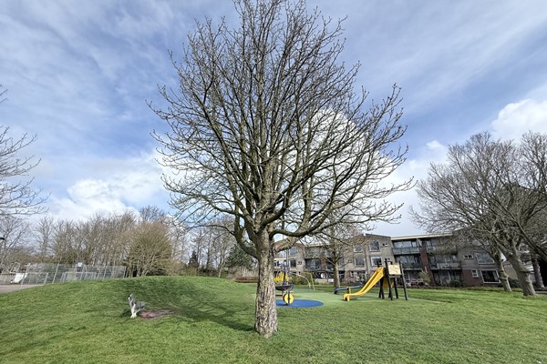 Medium property photo - Geestakker 35, 1852 EW Heiloo